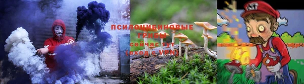 крисы Покров